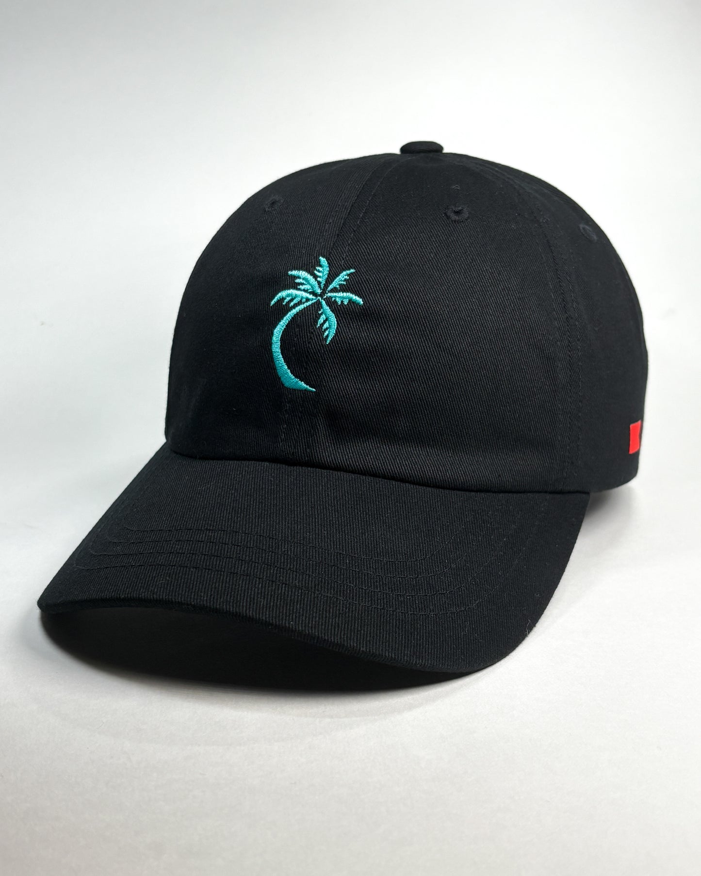 Bravo Cay hat in black with embroidered single palm design