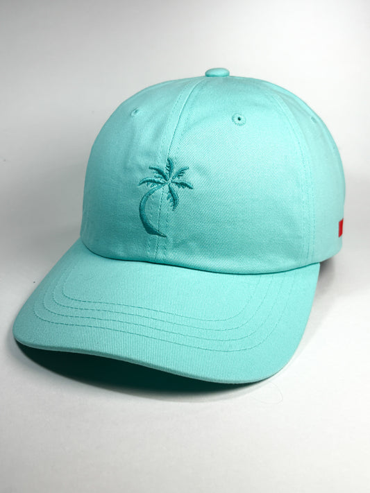 Bravo Cay hat in teal with embroidered single palm design